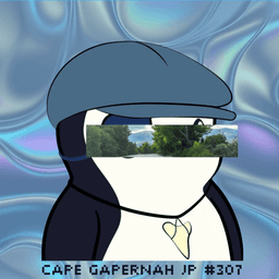 schlumberger's avatar