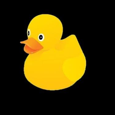 Duckwin's avatar