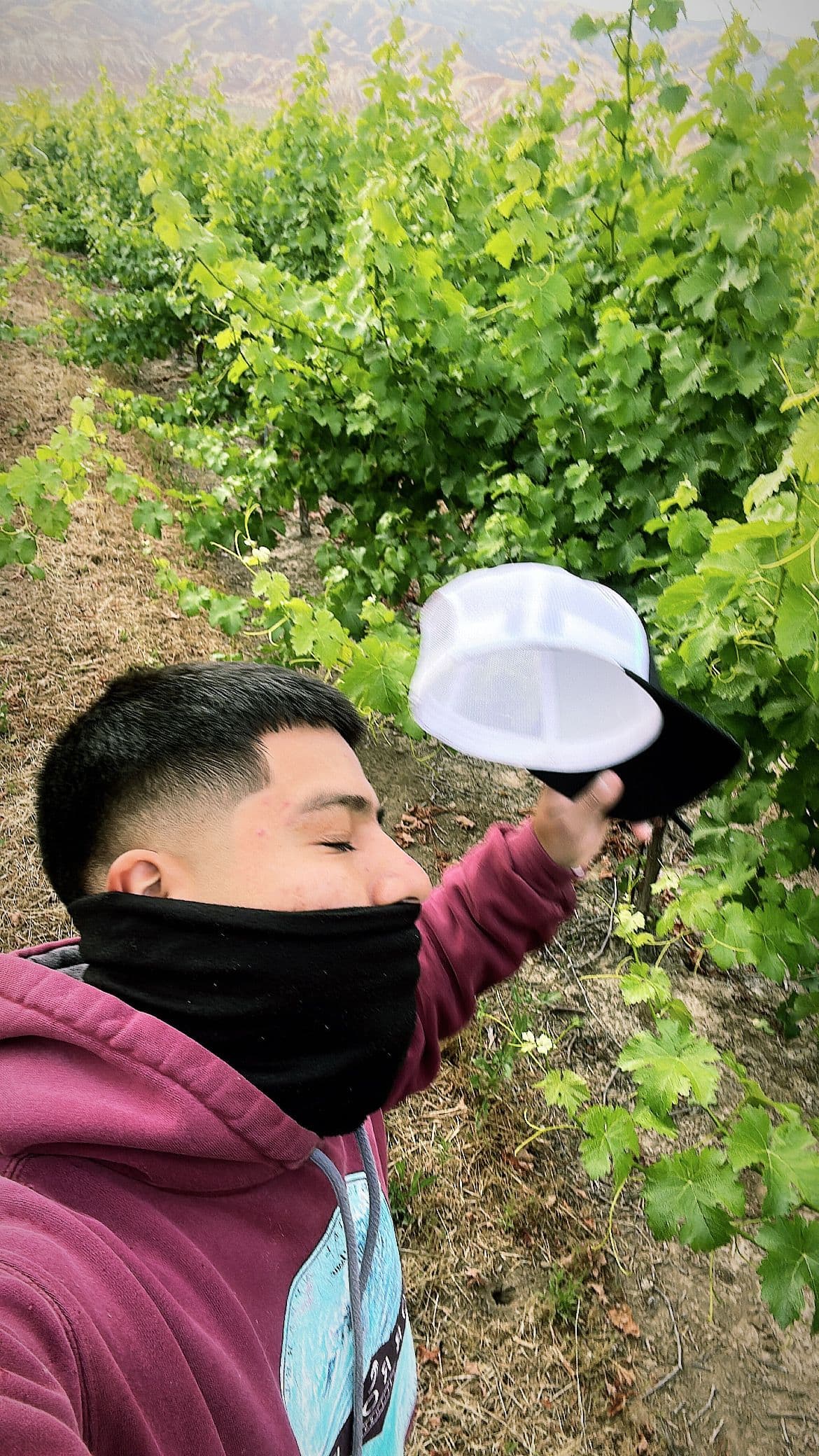 Staylacking's avatar