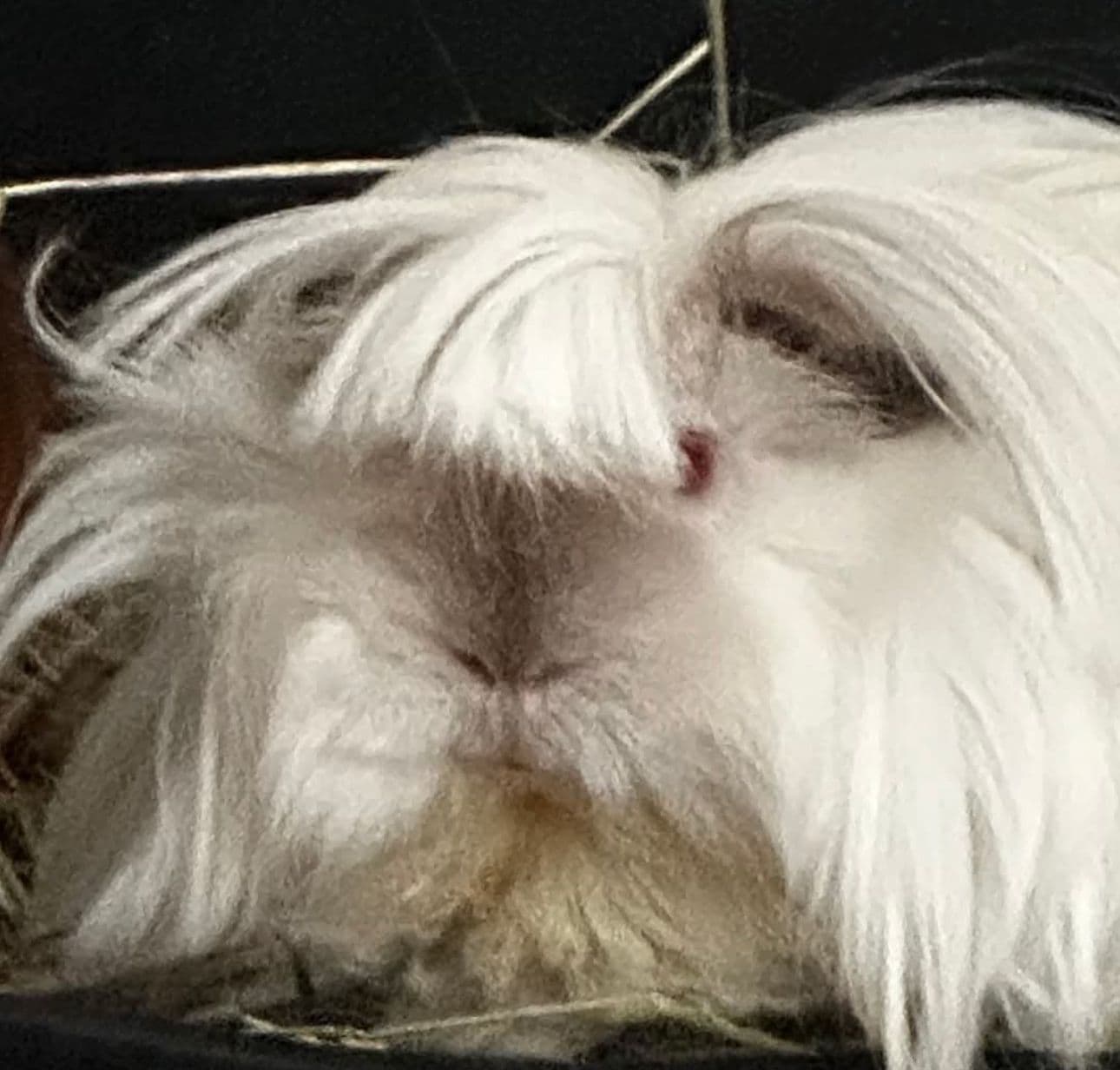 Unbrokensoulz96's avatar