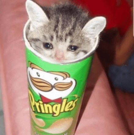 BarbecueSauss's avatar