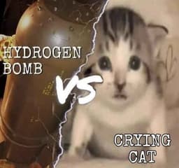 Catffee's avatar