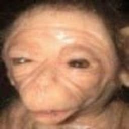 Yoriel7's avatar