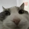 Imbra's avatar