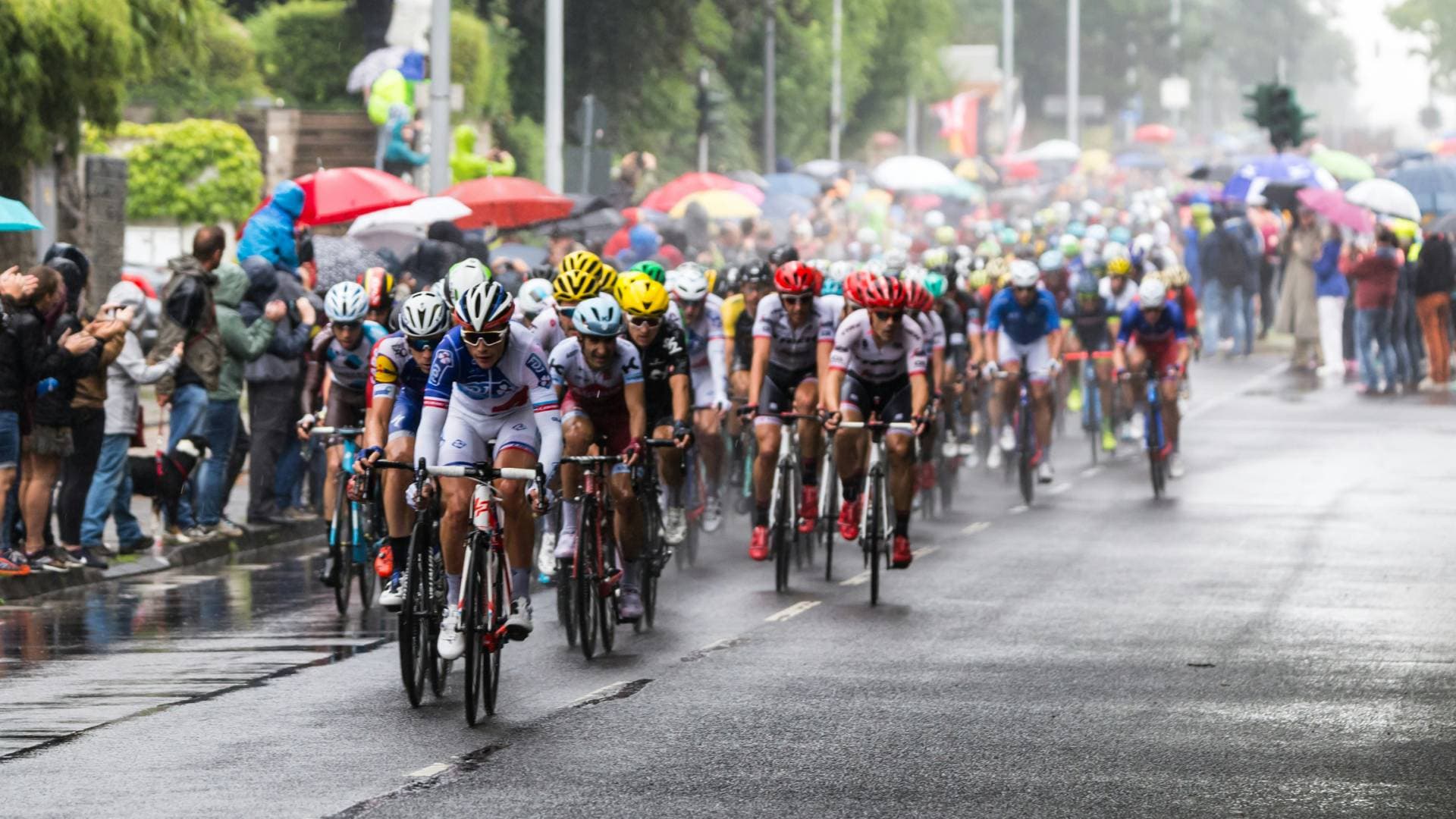 Pick a country and plot the route for a new cycling Grand Tour!