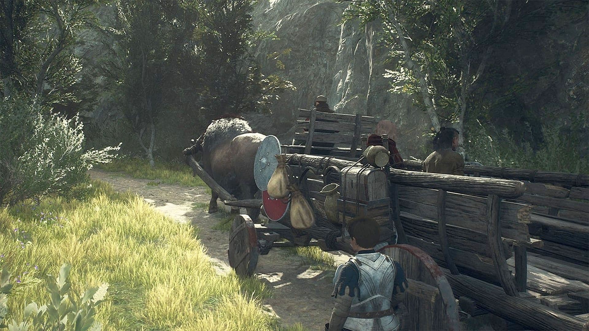 Share your favourite Dragon's Dogma memes for $3, or make your own for $6!