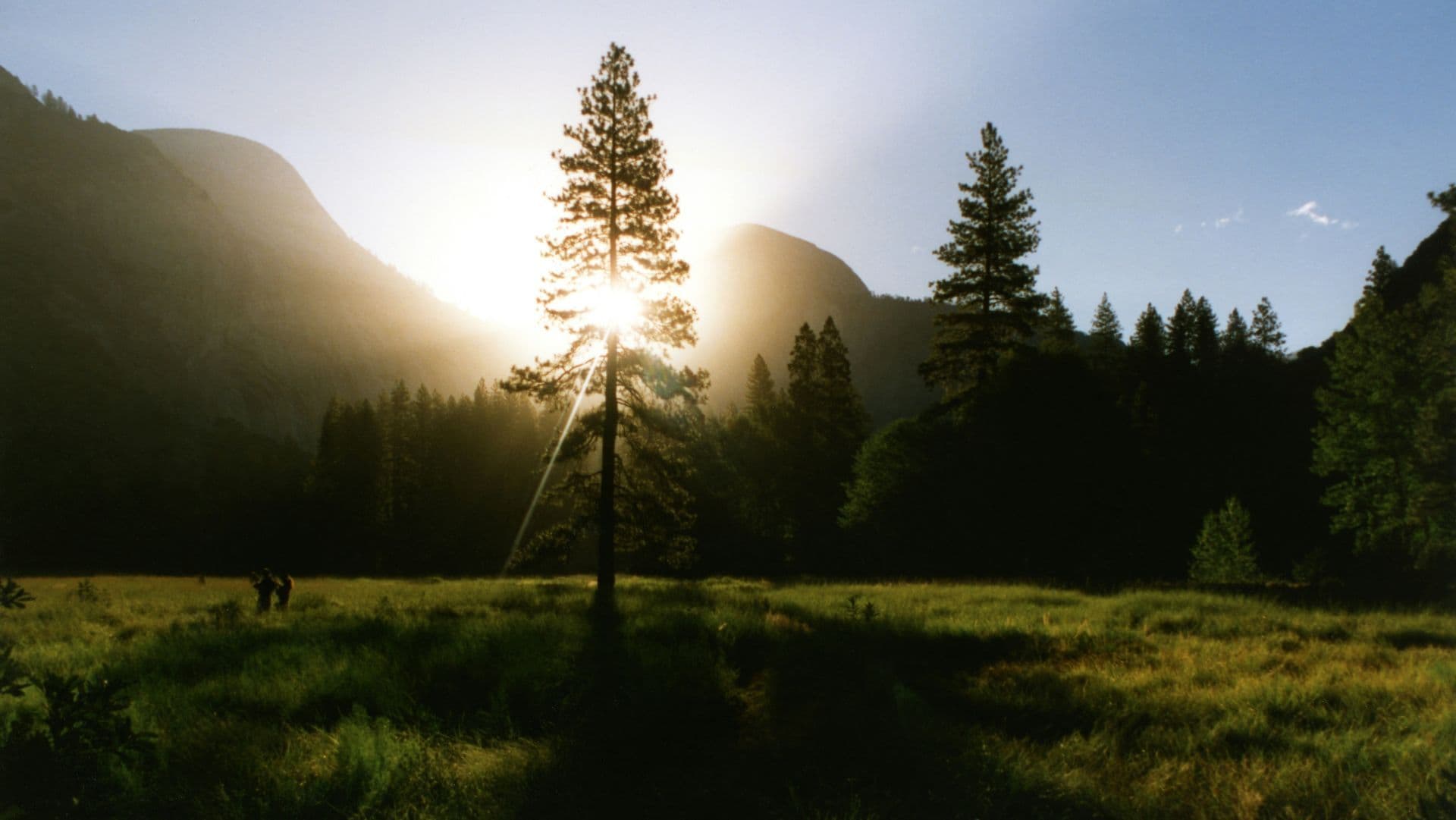 Introducing Evergreen Rewards