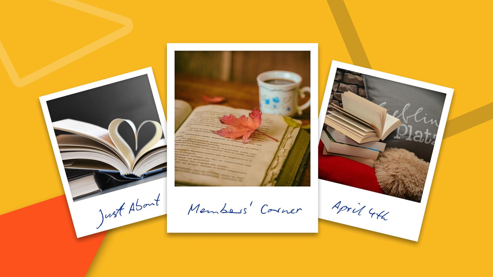 Members' Corner: Horror and Cats on how to rescue abandoned cats and kittens