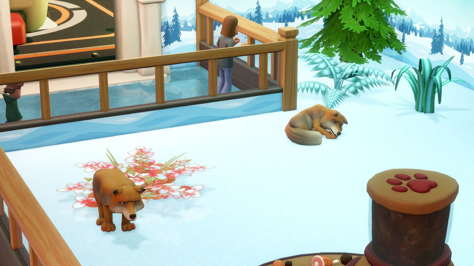 Create a highlights reel of adorable animal animations!