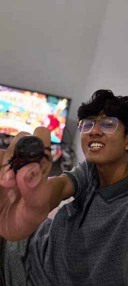 elnfk's avatar