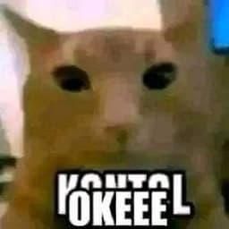 Oiish's avatar