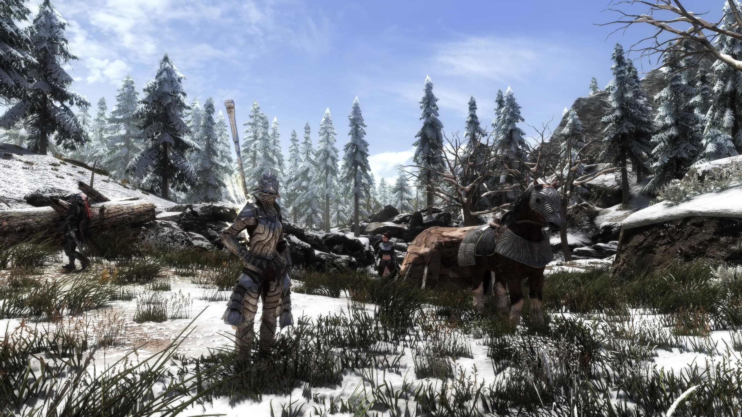 blurred background