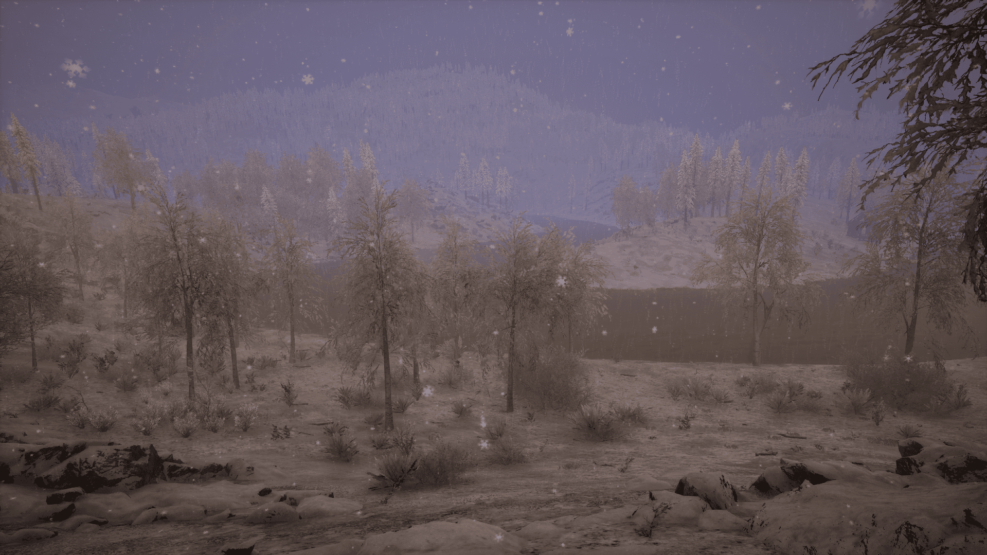 blurred background