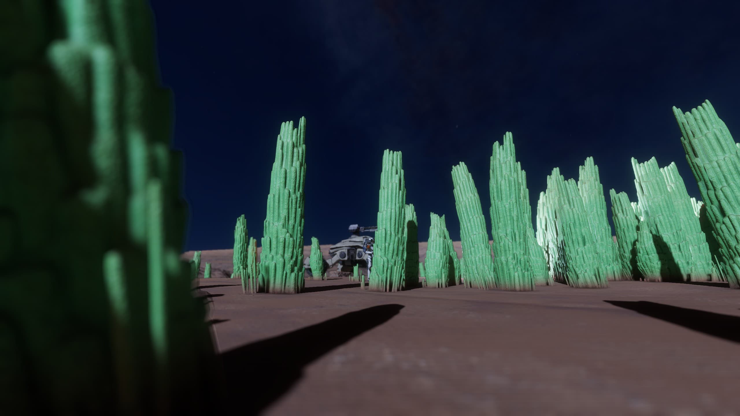 blurred background