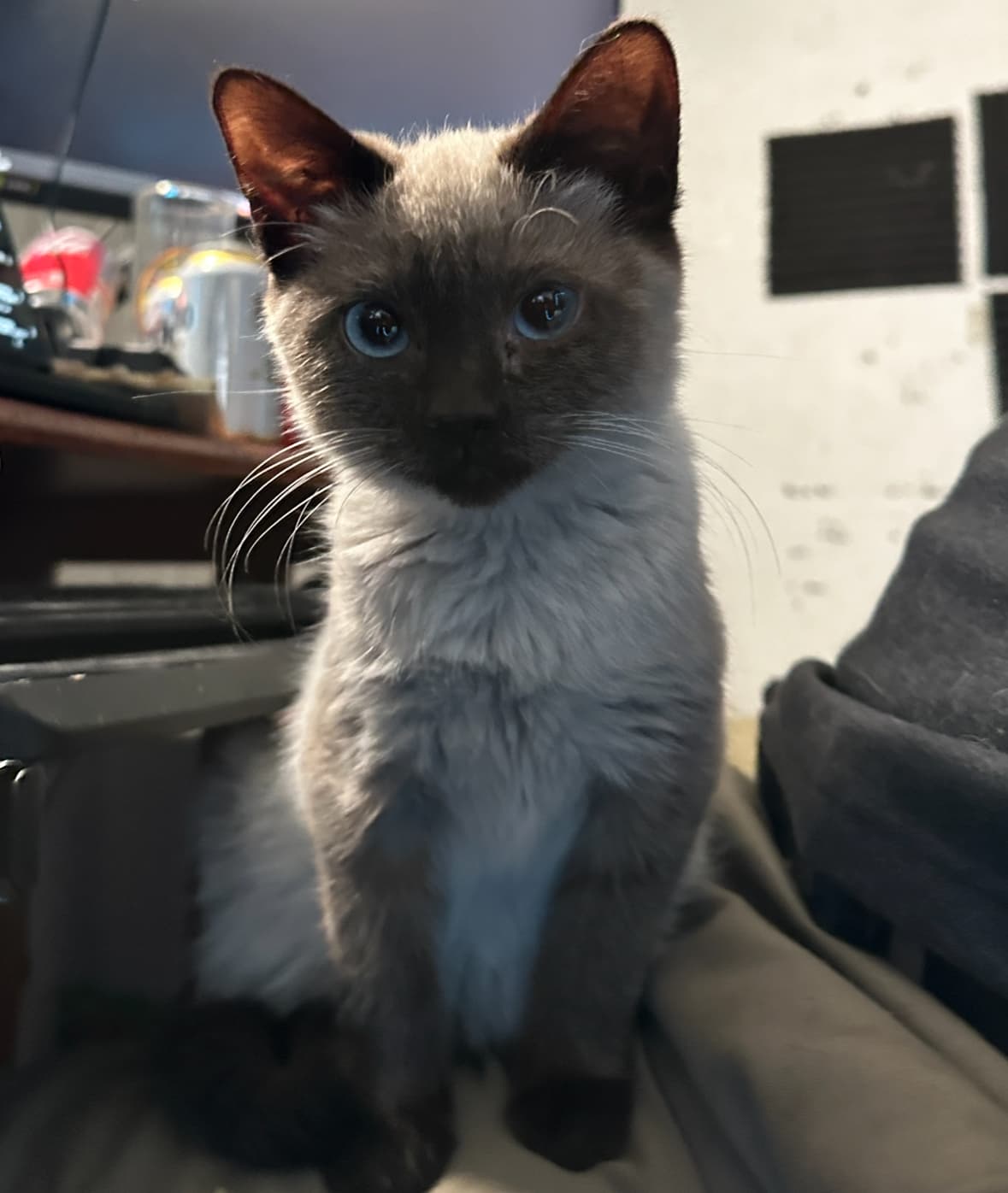 blurred background