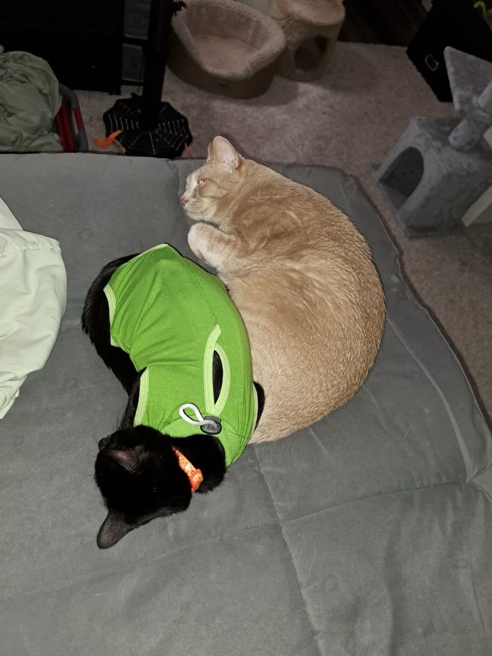 cuddling with her older adopted brother 