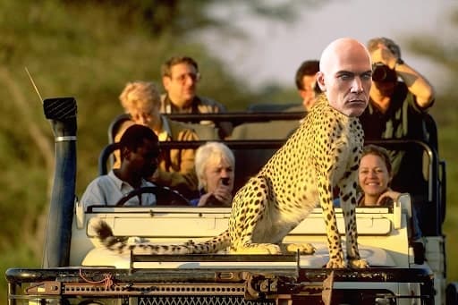 Hitman on Safari disguised as a leopard