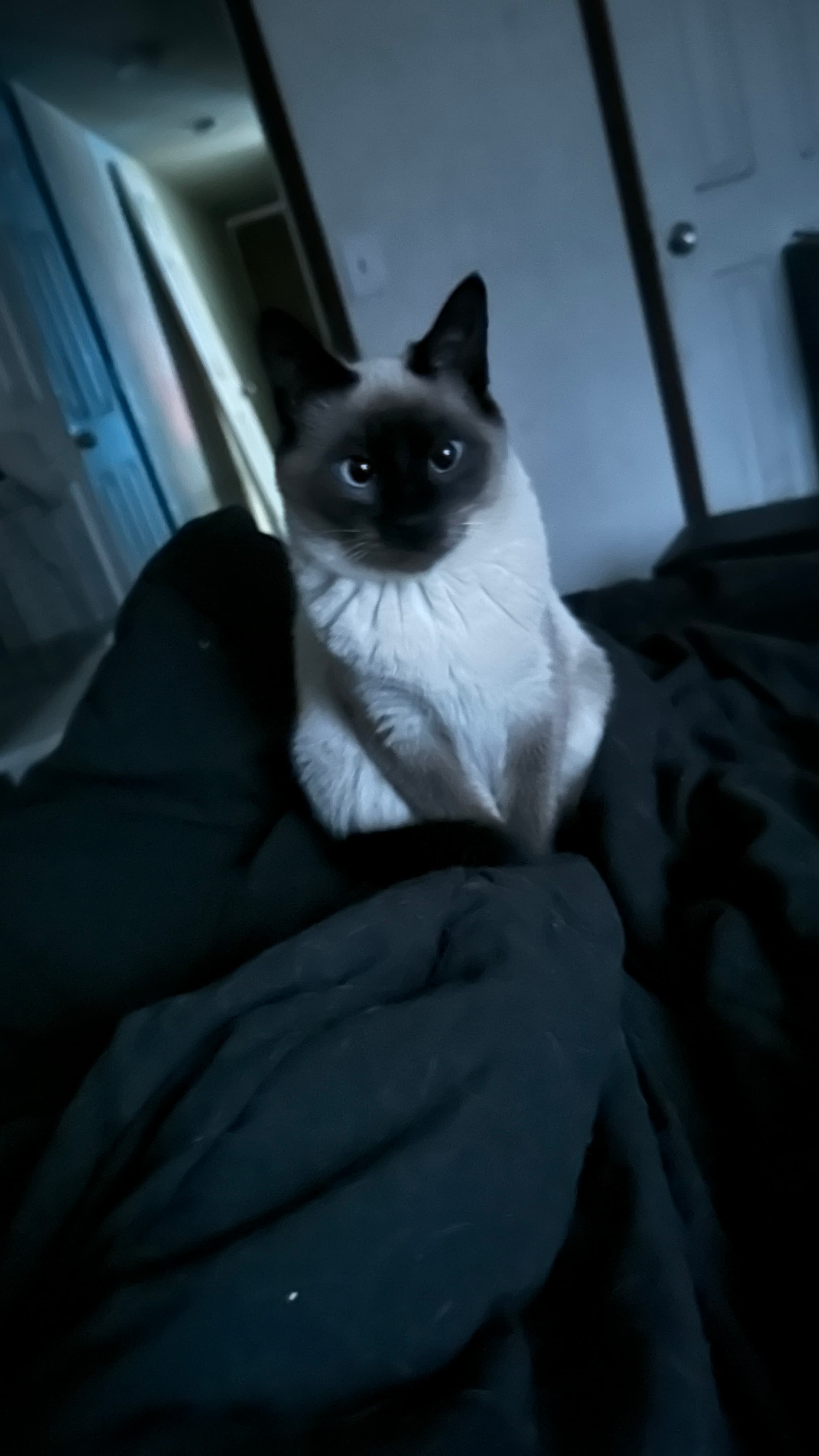 blurred background