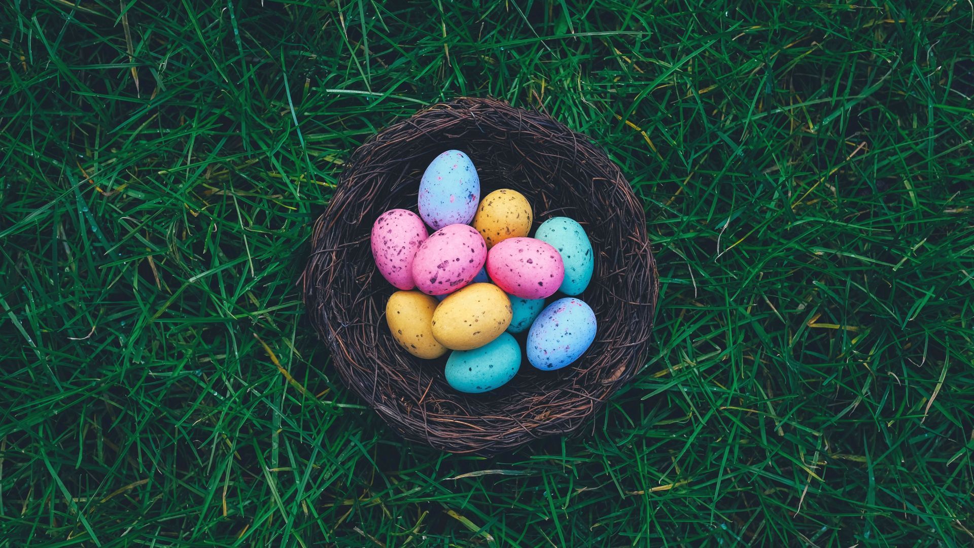 Tell us what your favourite video game easter egg is and why for $5!