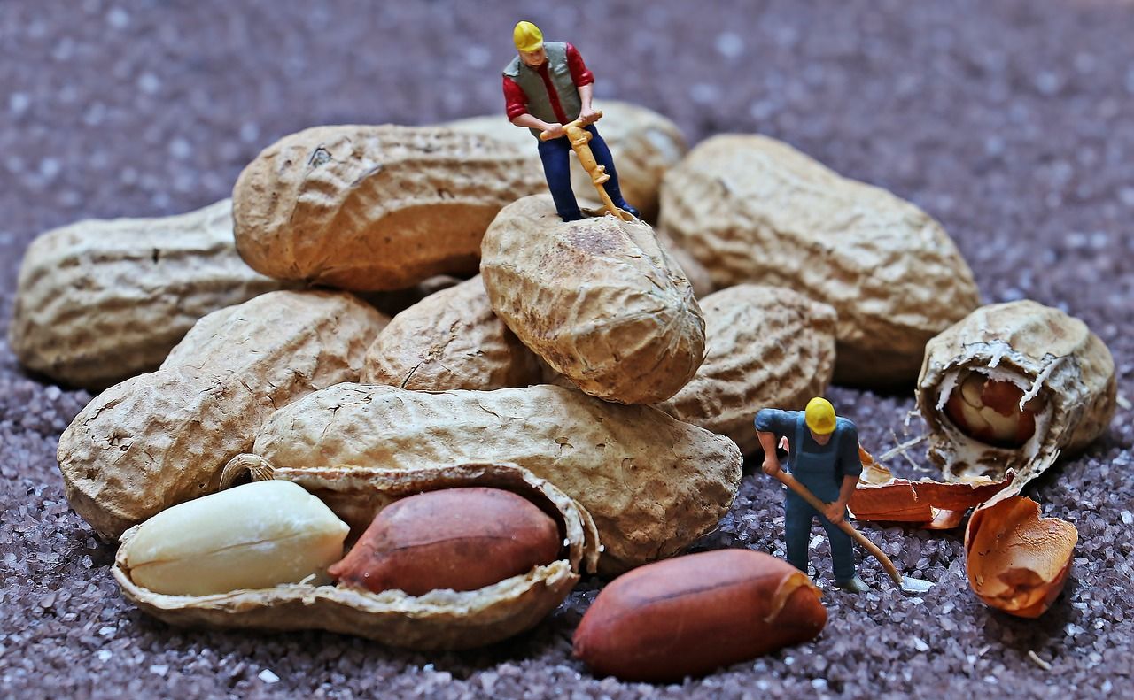 Act out and film a 30-second movie using toys and crafts for up to $15