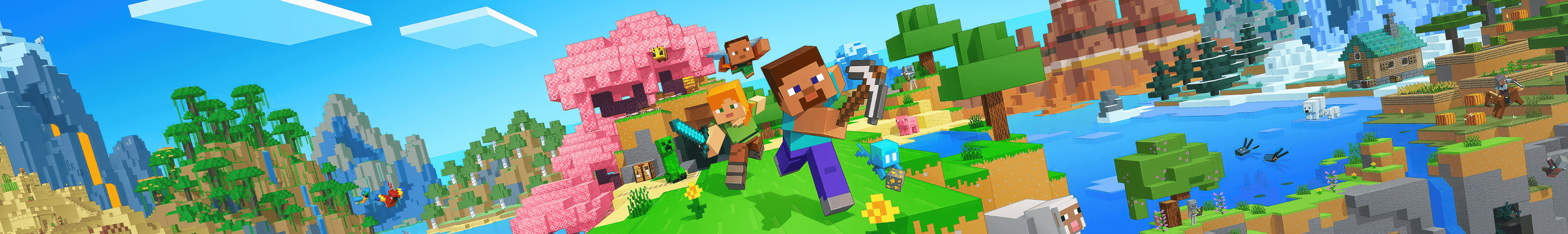 Minecraft cover image