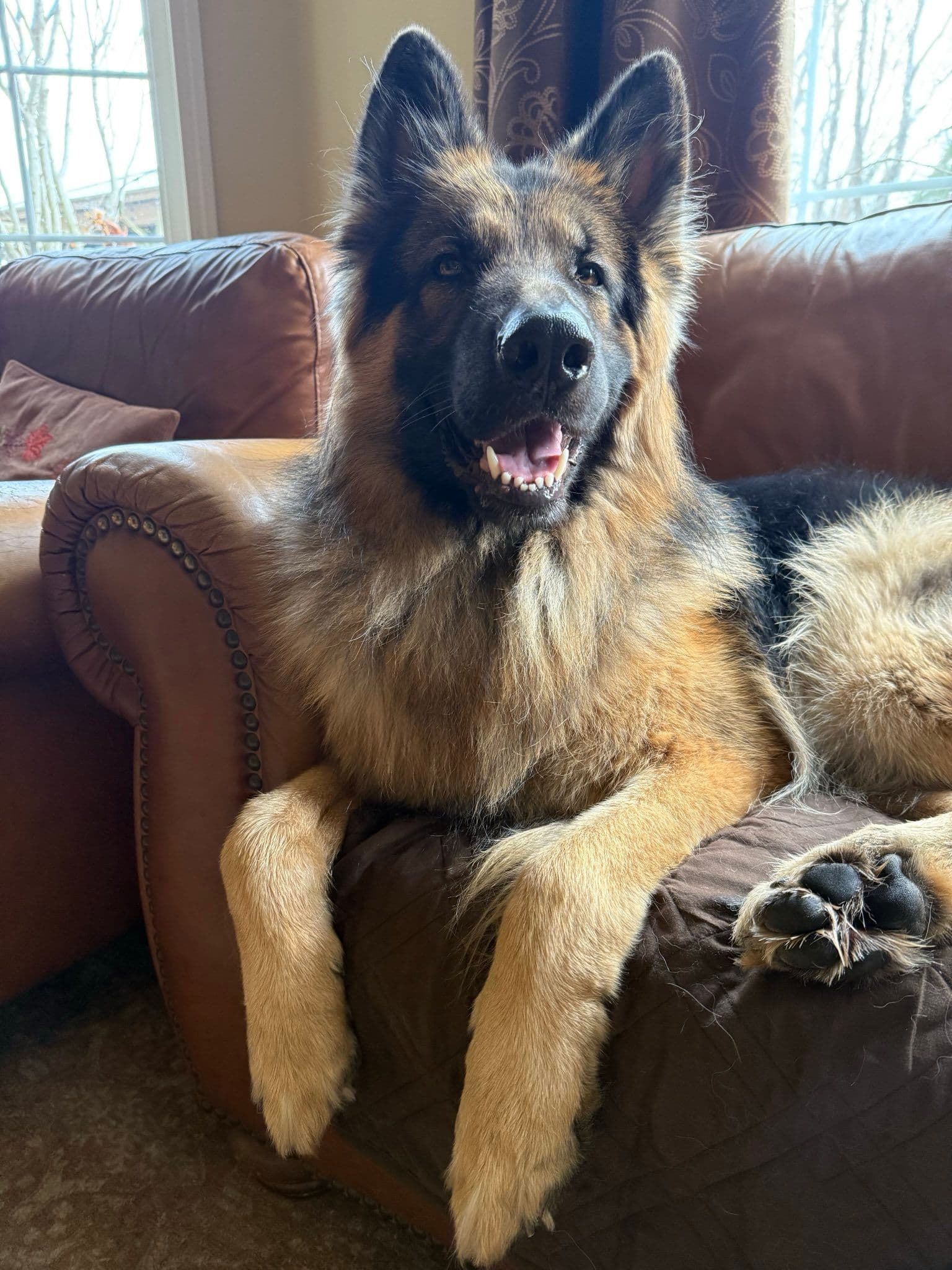 plasticdaffodil's avatar