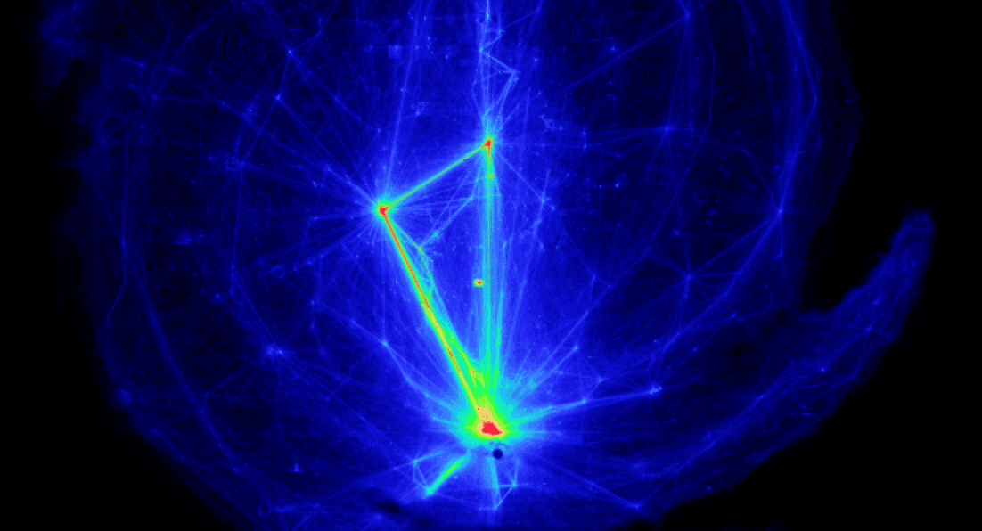 Paint a picture in the stars!