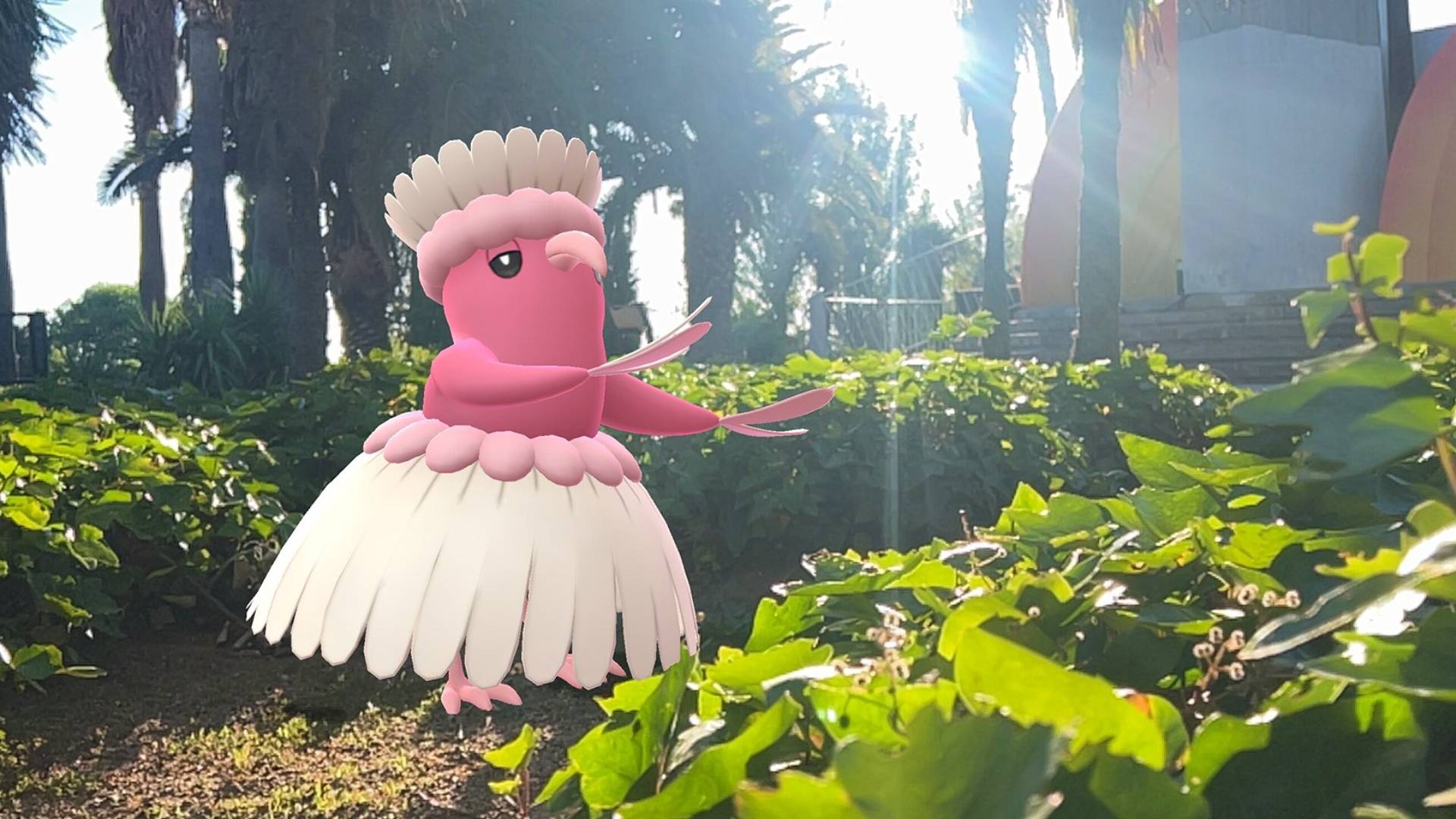 Take the best photo you can using the AR mode in Pokémon Go!