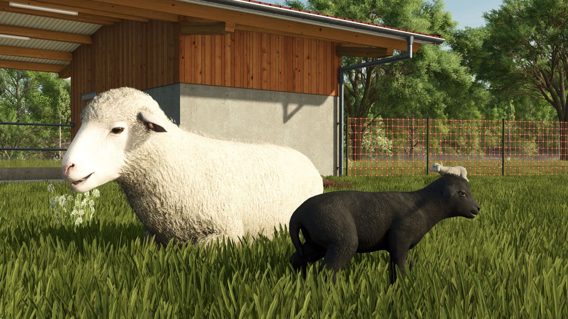 Share a clip of animals being adorable in Farming Simulator 25!