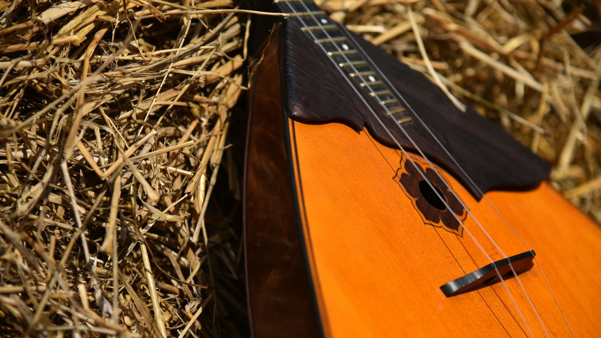 What's your favourite obscure musical instrument? Show and tell us for $4!
