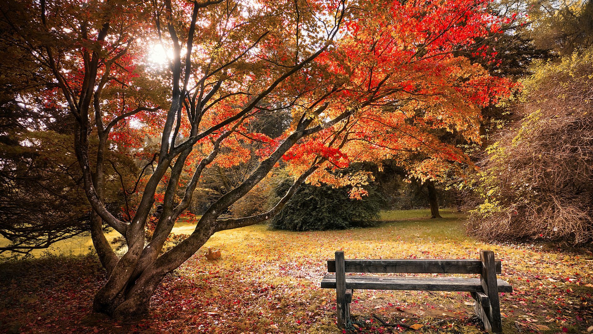 Share a screenshot of autumn, fall, or Halloween in any game