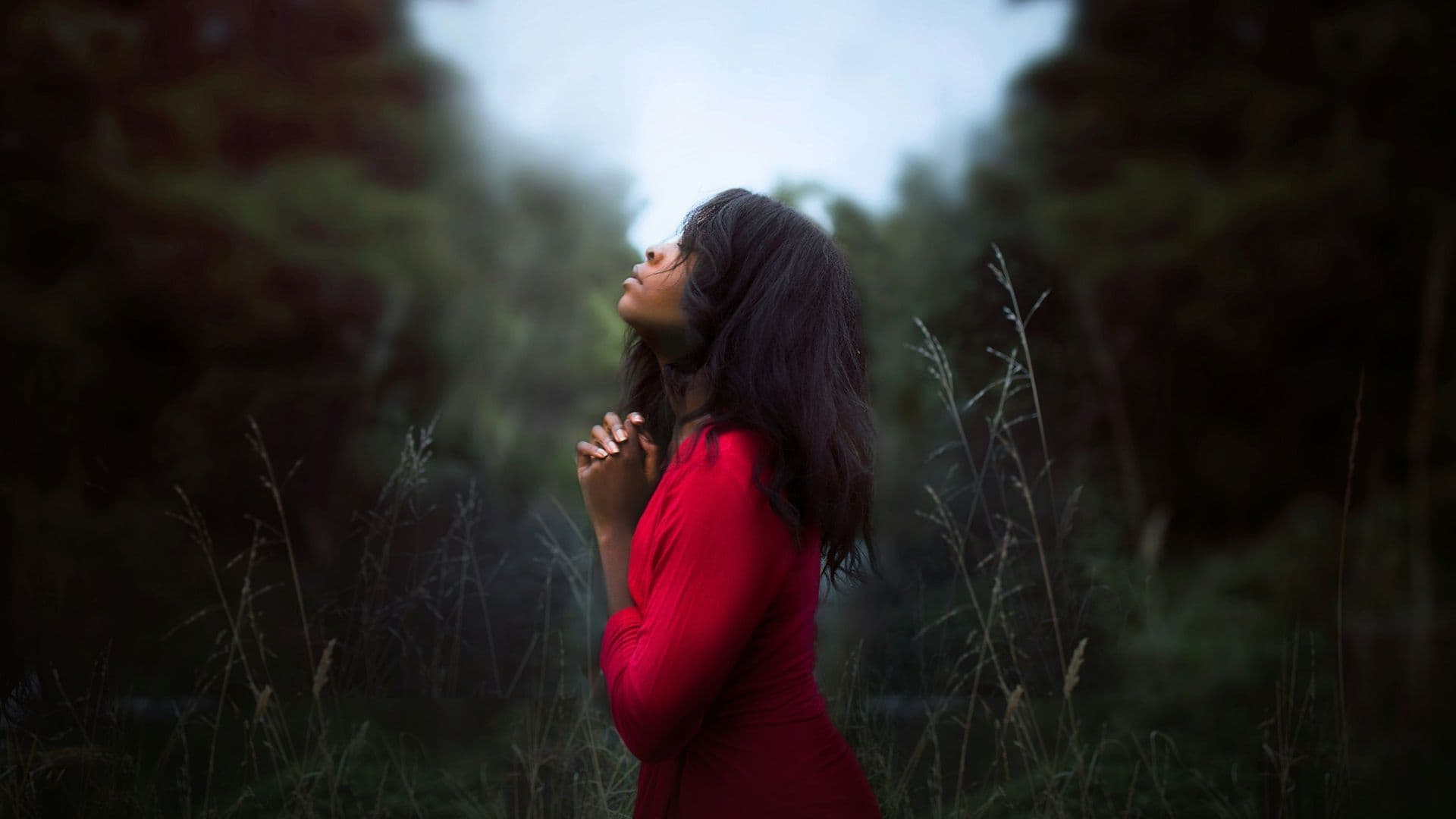 News wishlist: what announcements do you want to hear at WASD? Tell us for $2!