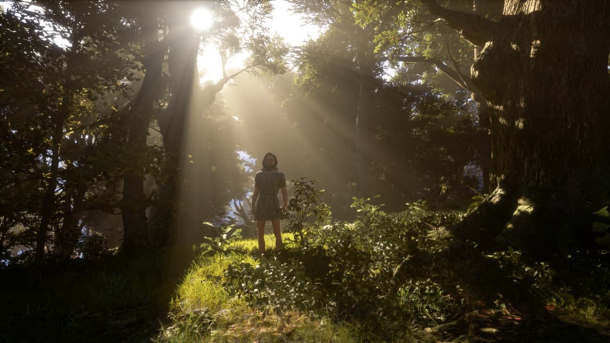 Show us the best place for a picnic!