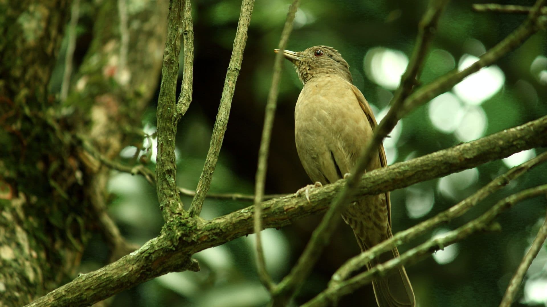 Come up with a gaming-themed verse for the 12 Days of Christmas for $3!