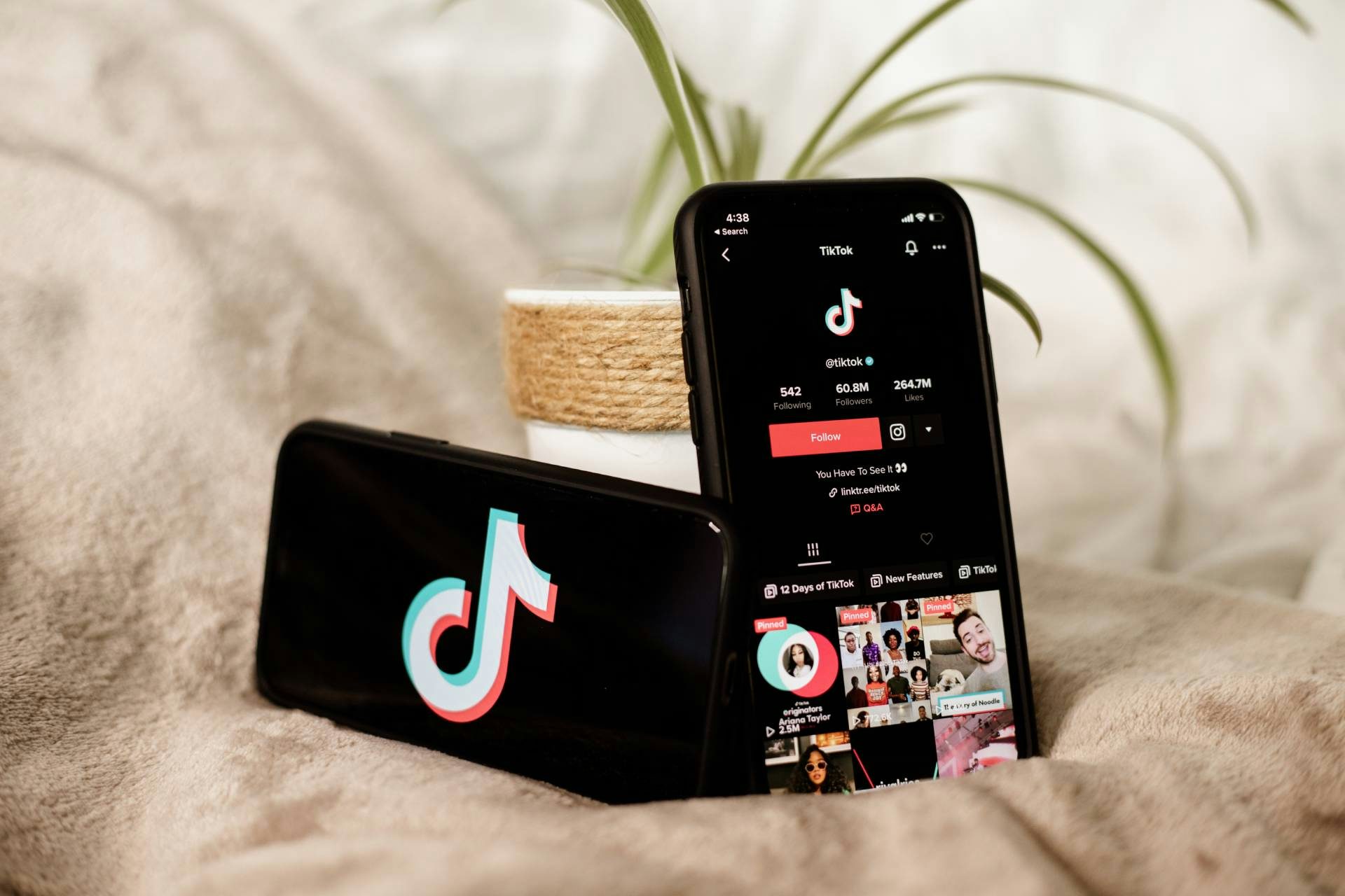 What is TikTok? Break down how the platform works and share your TikTok tips for $8!