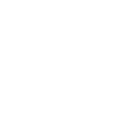 twitter logo